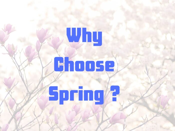 Advantages of Spring Kaliyona